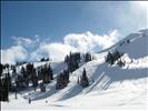 Flute Bowl, Whistler